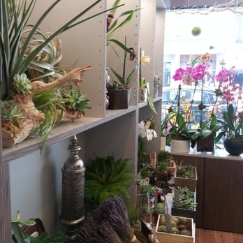 Shu's Flowers - Florists Near Me - New York, New York Shu's Flowers - Florists Near Me - New York, New York