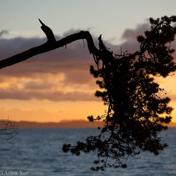 Larrabee State Park - Parks Near Me - Bellingham, Washington Larrabee State Park - Parks Near Me - Bellingham, Washington