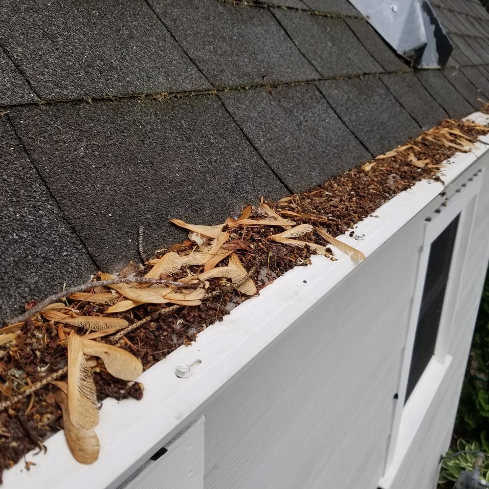 LeafFilter - Rain just completely bypasses the gutters completely. - Gutter Services Near Me - Eden Prairie, Minnesota