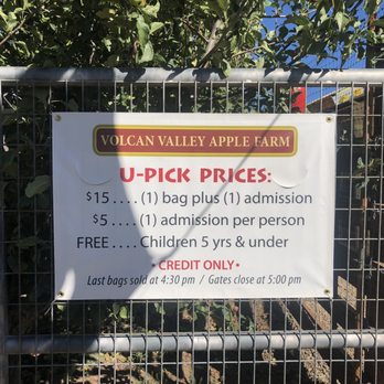 Volcan Valley Apple Farm - Pick Your Own Farms Near Me - Julian, California Volcan Valley Apple Farm - Pick Your Own Farms Near Me - Julian, California