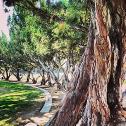 Lions Park - Landscaping