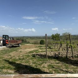 La Ciarliana - Beautiful view from front of property