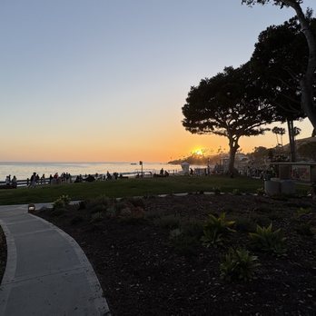Laguna Beach - Sunset with the Cliffside Pathway and some of the VERY old plants and trees that are growing in Laguna. - Beaches Near Me