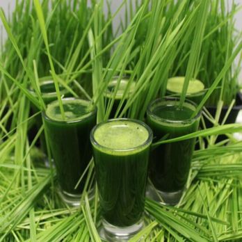 Planet Smoothie - three glasses of green smoothie - Juice Bars & Smoothies Near Me - Newnan, Georgia Planet Smoothie - three glasses of green smoothie - Juice Bars & Smoothies Near Me - Newnan, Georgia