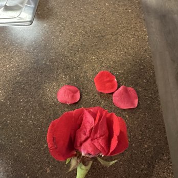 Blossom Flower Delivery - The petals are falling off as I try to design the arrangement. - Florists Near Me Blossom Flower Delivery - The petals are falling off as I try to design the arrangement. - Florists Near Me