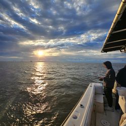 9- Ball Fishing Charters