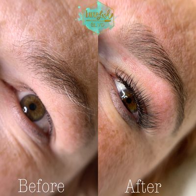 Luxe Lash Blvd