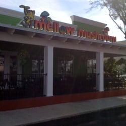 Mellow Mushroom Orlando
