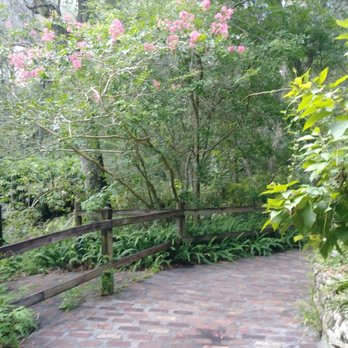 Rainbow Springs State Park Campground - Campgrounds Near Me - Dunnellon, Florida Rainbow Springs State Park Campground - Campgrounds Near Me - Dunnellon, Florida