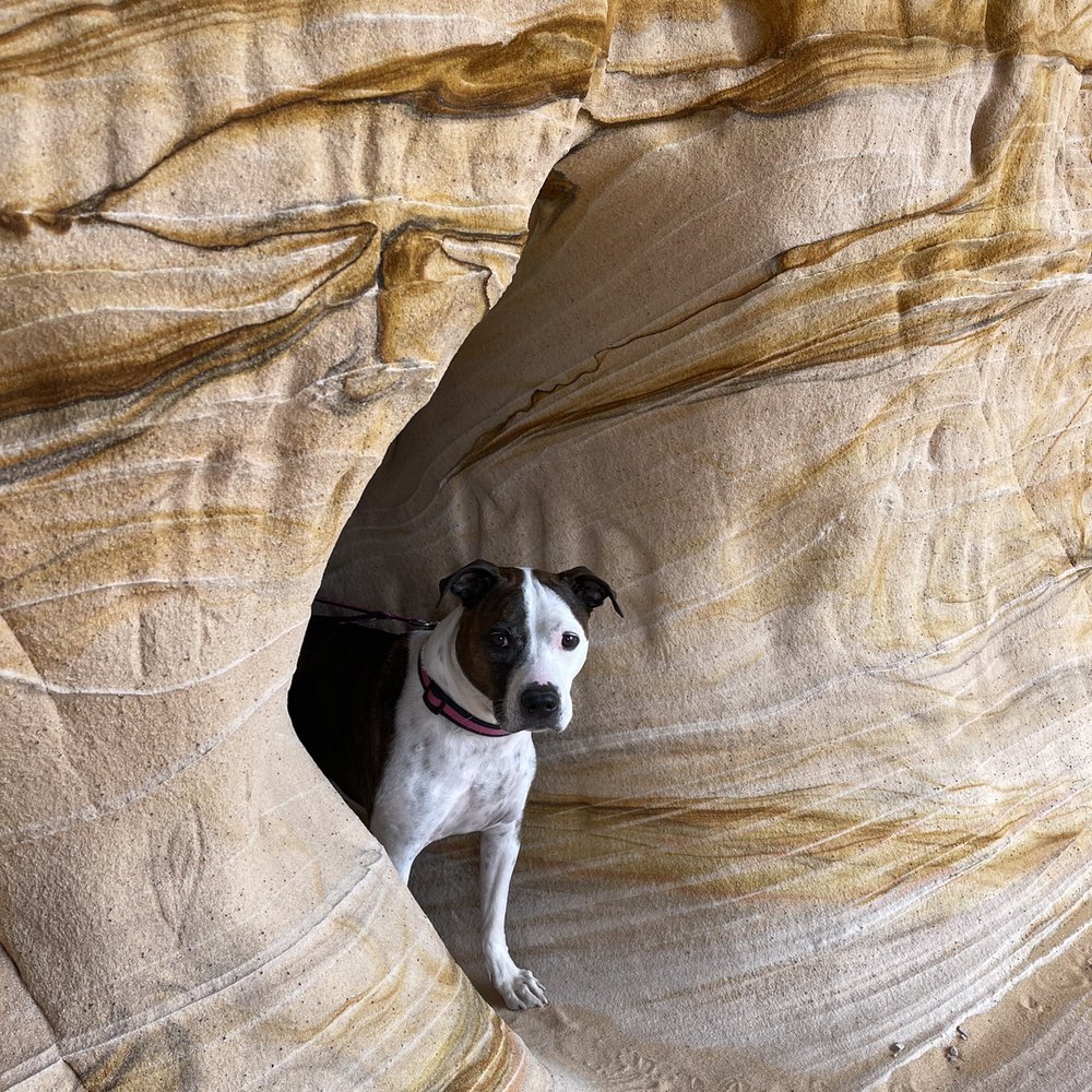Sand Cave - Local Flavor Near Me - Kanab, Utah