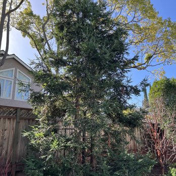 Moon Valley Nurseries - Nurseries & Gardening Near Me - Gilroy, California