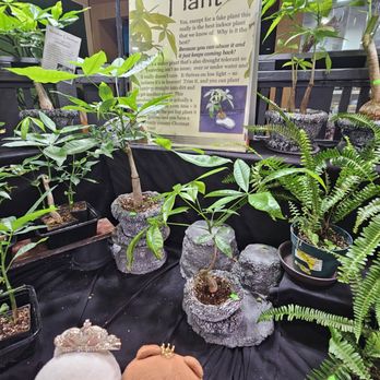 Happy Koi Nursery - Information on indoor plants - Nurseries & Gardening Near Me - Aiea, Hawaii