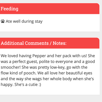 Shady Acres Pet Ranch - Pet Sitting Near Me - Round Rock, Texas Shady Acres Pet Ranch - Pet Sitting Near Me - Round Rock, Texas
