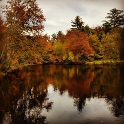 Bethel Hideaway Campground Resort - Catch and Release pond for fishing