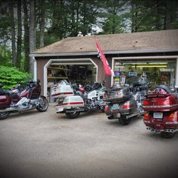 Goldwings Plus