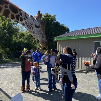 Nova Wild - Petting Zoos Near Me - Vienna, Virginia