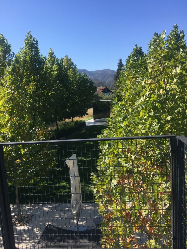 Bella Oaks