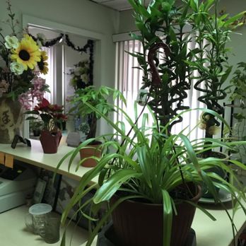 Sunny Spa - Come to relax & enjoy the good time. - Massage Near Me - Westfield, New Jersey Sunny Spa - Come to relax & enjoy the good time. - Massage Near Me - Westfield, New Jersey
