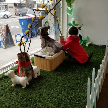 Biscuits Pet Boutique - Pet Stores Near Me - San Jose, California Biscuits Pet Boutique - Pet Stores Near Me - San Jose, California