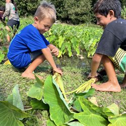 Hale Halawai 'Ohana O Hanalei