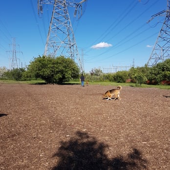 Markham Off-Leash Dog Area - Dog Parks Near Me - Markham, Ontario