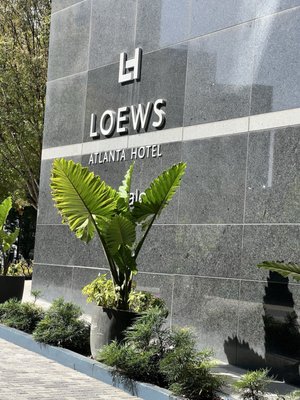 Loews Atlanta Hotel by null