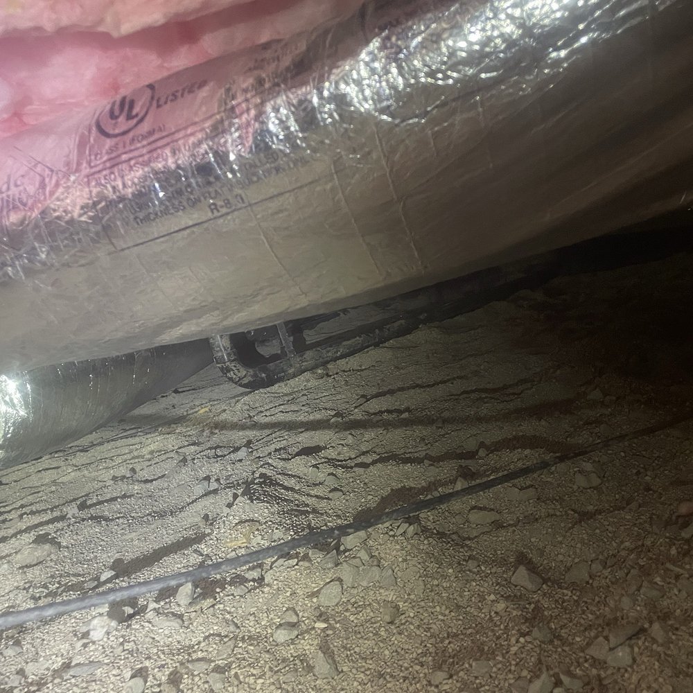 A1 Rodent Proofing and Pest Control - Pest Control Near Me - Pleasanton, California A1 Rodent Proofing and Pest Control - Pest Control Near Me - Pleasanton, California