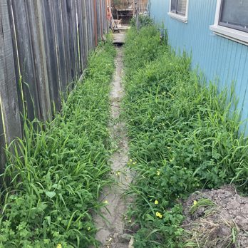 Esteban Gonzalez - Landscaping Near Me Esteban Gonzalez - Landscaping Near Me