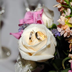 Wedding bands