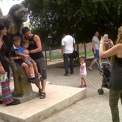 Complejo Peko's