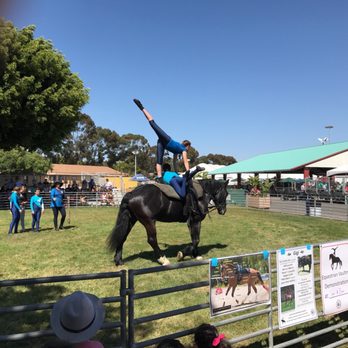 Imaginology - OC Vaulting demonstrates their skills - Festivals Near Me - Costa Mesa, California Imaginology - OC Vaulting demonstrates their skills - Festivals Near Me - Costa Mesa, California