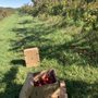 Photo of The Big Apple Farm