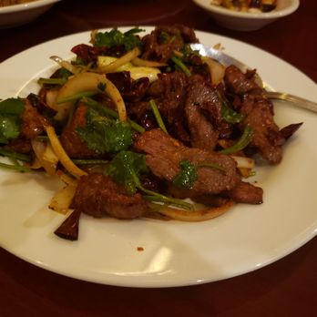 Sichuan Gourmet House - Cumin lamb - Szechuan Near Me - Newton, Massachusetts
