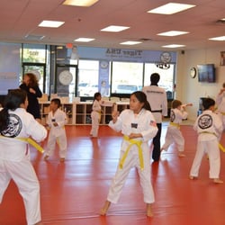 Tiger USA World Class Taekwondo & Family Martial Arts - TIGER USA WORLD CLASS TAEKWONDO & FAMILY MARTIAL ARTS-FAMILY CLASS