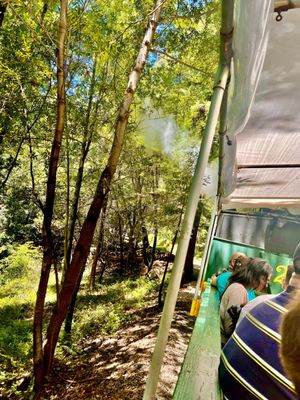 Roaring Camp by null