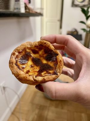 Rigor Hill Market by null