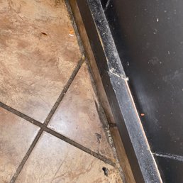 Roach Roach