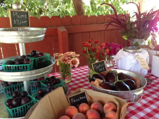 Stolpman Vineyards - Los Olivos Tasting Room by null
