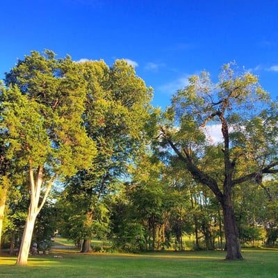 Riverside, the Farnsley-Moremen Landing by null