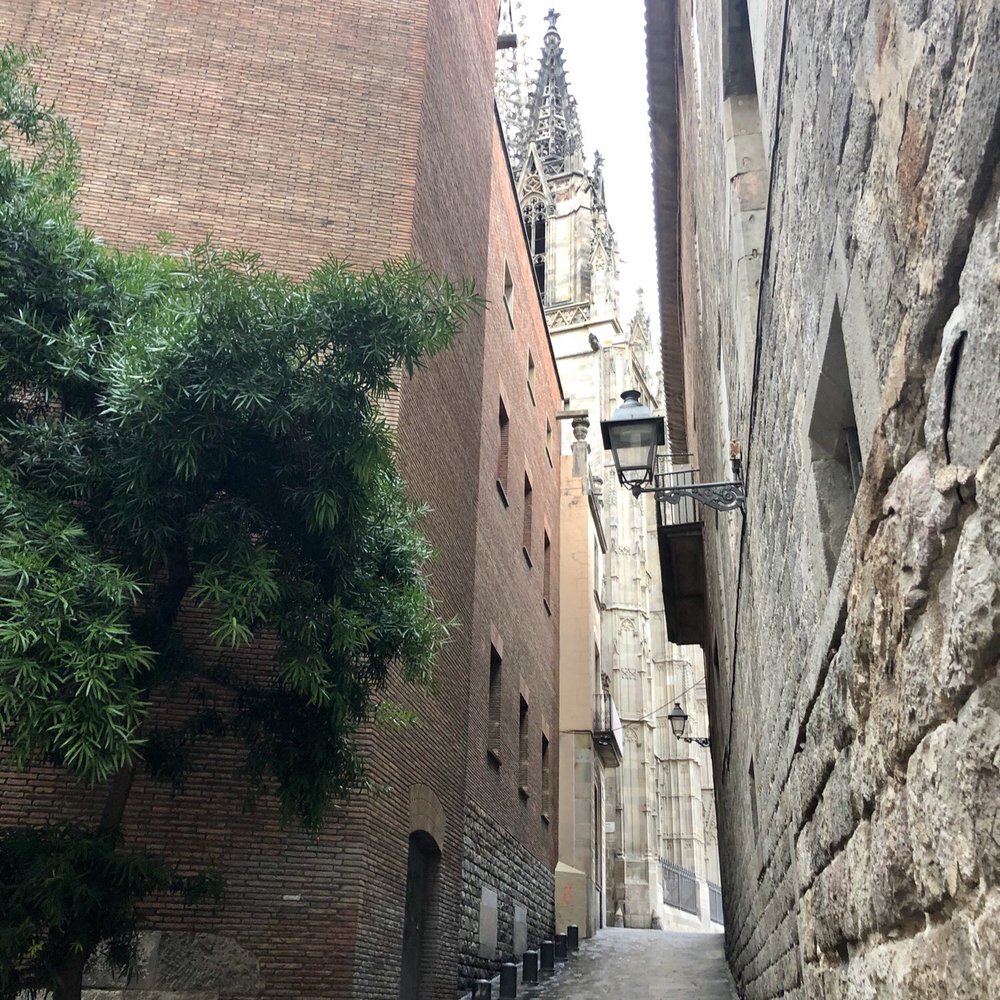 An alley in the shadow of the Barcelona Cathedral in the Barri Gòtic (Gothic Quarter)