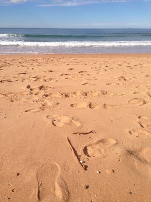 Palm Beach by null