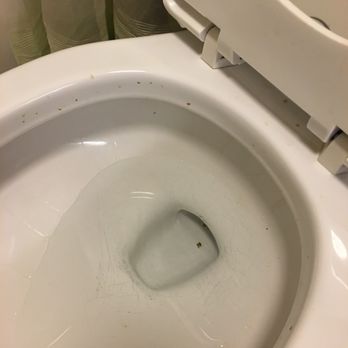 SpringHill Suites by Marriott Denver North/Westminster - Day two toilet after a "deep clean" no one cleaned the toilet again! - Hotels Near Me - Westminster, Colorado SpringHill Suites by Marriott Denver North/Westminster - Day two toilet after a "deep clean" no one cleaned the toilet again! - Hotels Near Me - Westminster, Colorado