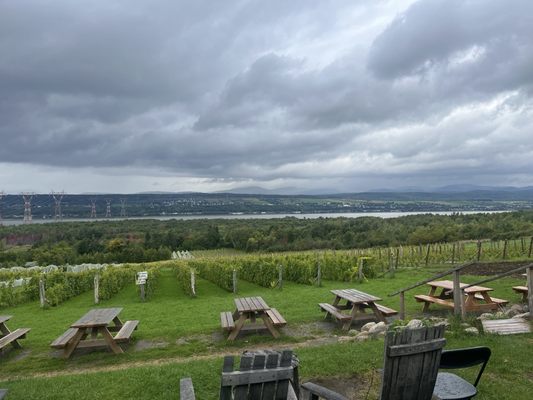 Vignoble Isle de Bacchus by null