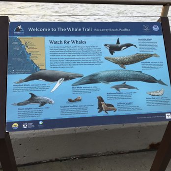 Rockaway Beach - You can spot some whales here - Beaches Near Me - Pacifica, California