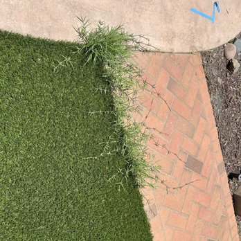 Big Bully Turf - And more... less than a month out from completion!! - Artificial Turf Near Me - San Diego, California