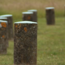 Woodhenge
