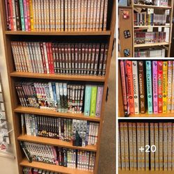 Peoria Book Rack
