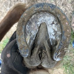 Dirty foot