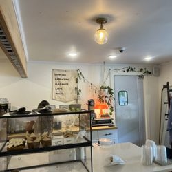 Social Coffee & Supply - Counter