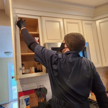 Diagno Pest Control - Pest Control Near Me - Philadelphia, Pennsylvania Diagno Pest Control - Pest Control Near Me - Philadelphia, Pennsylvania